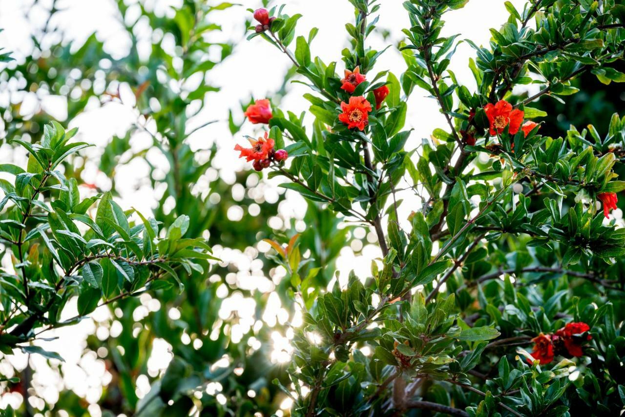 Santa Potenza 费尔莱恩 外观 照片